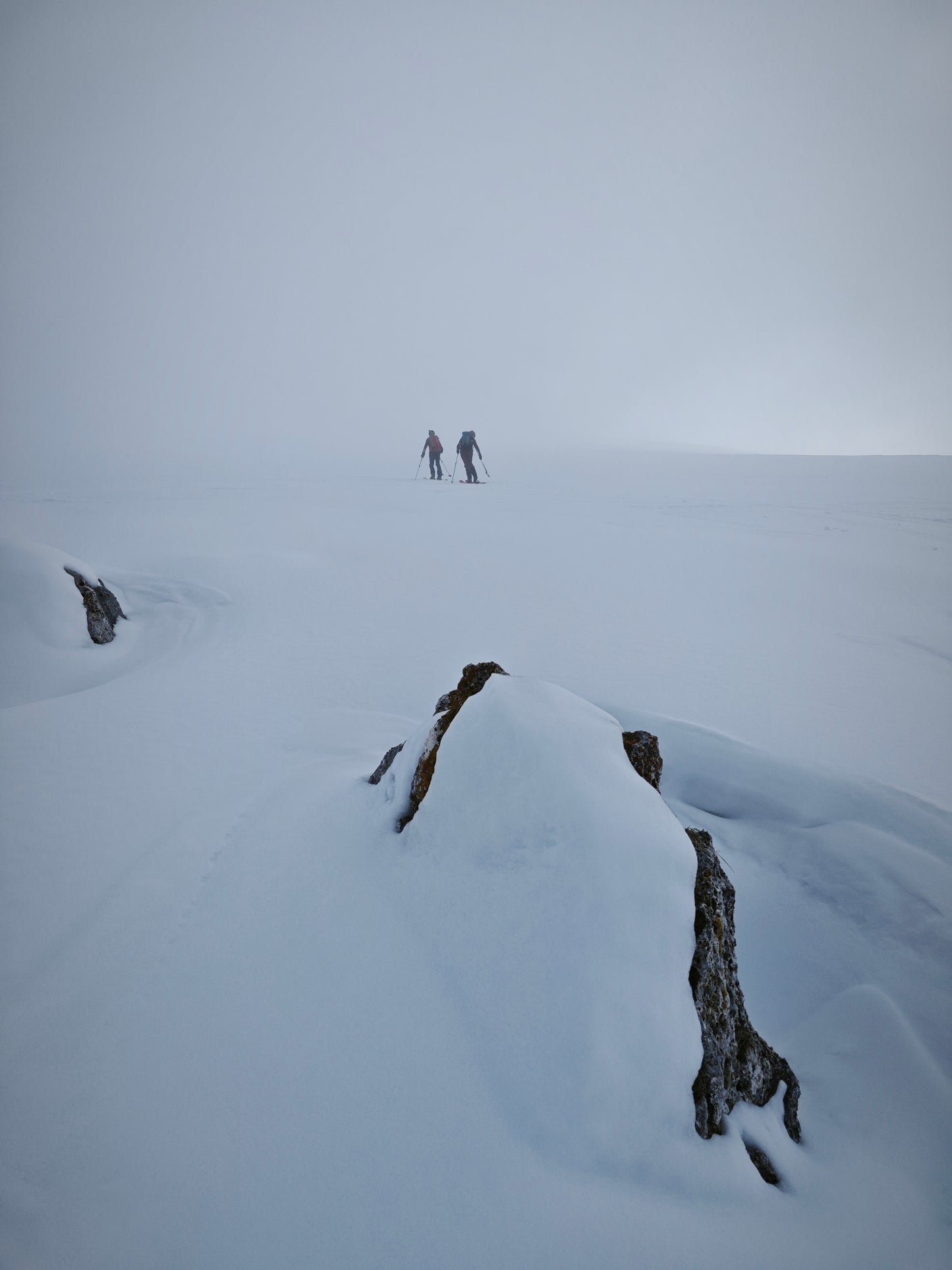 COND'RIX intimo merino M. Lunga 100%