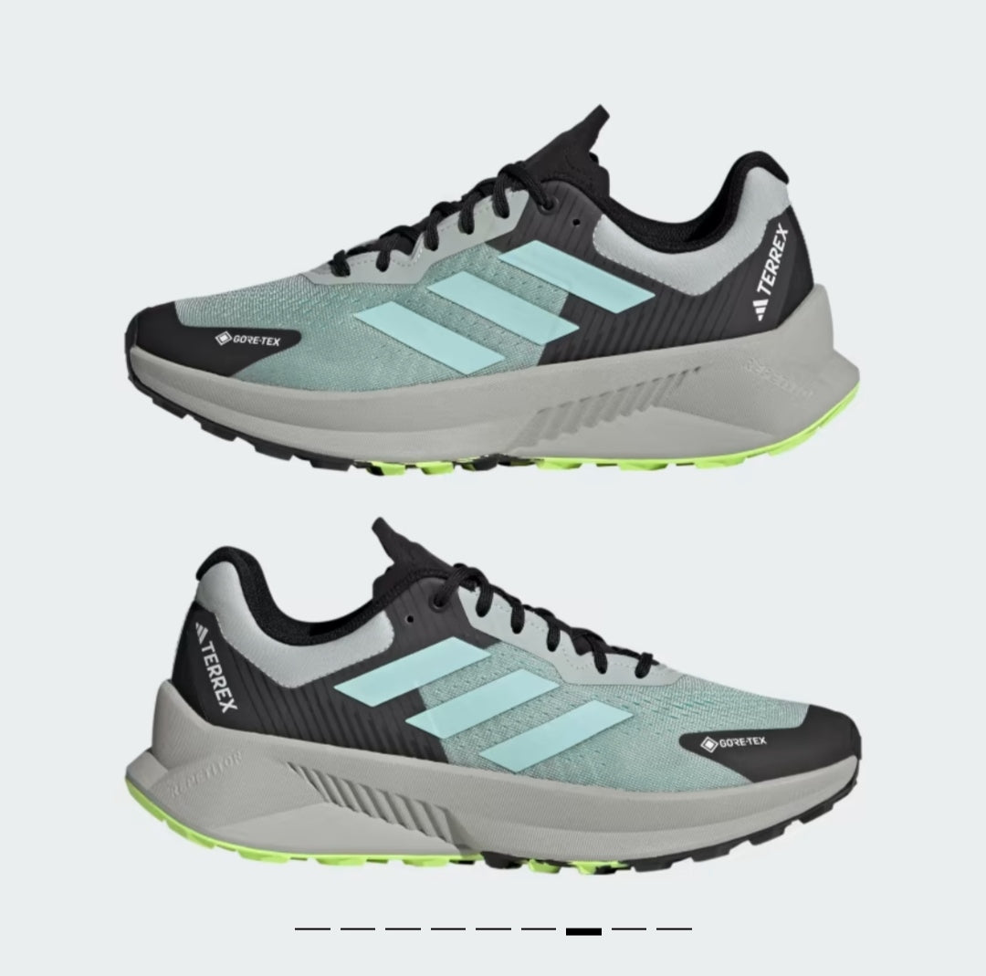 Adidas terrex soulstride flow GTX w