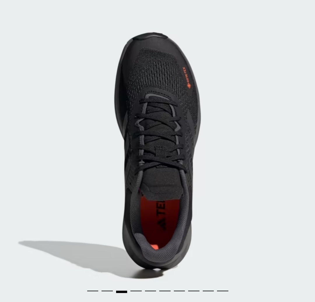 Adidas TERREX soulstride flow GTX