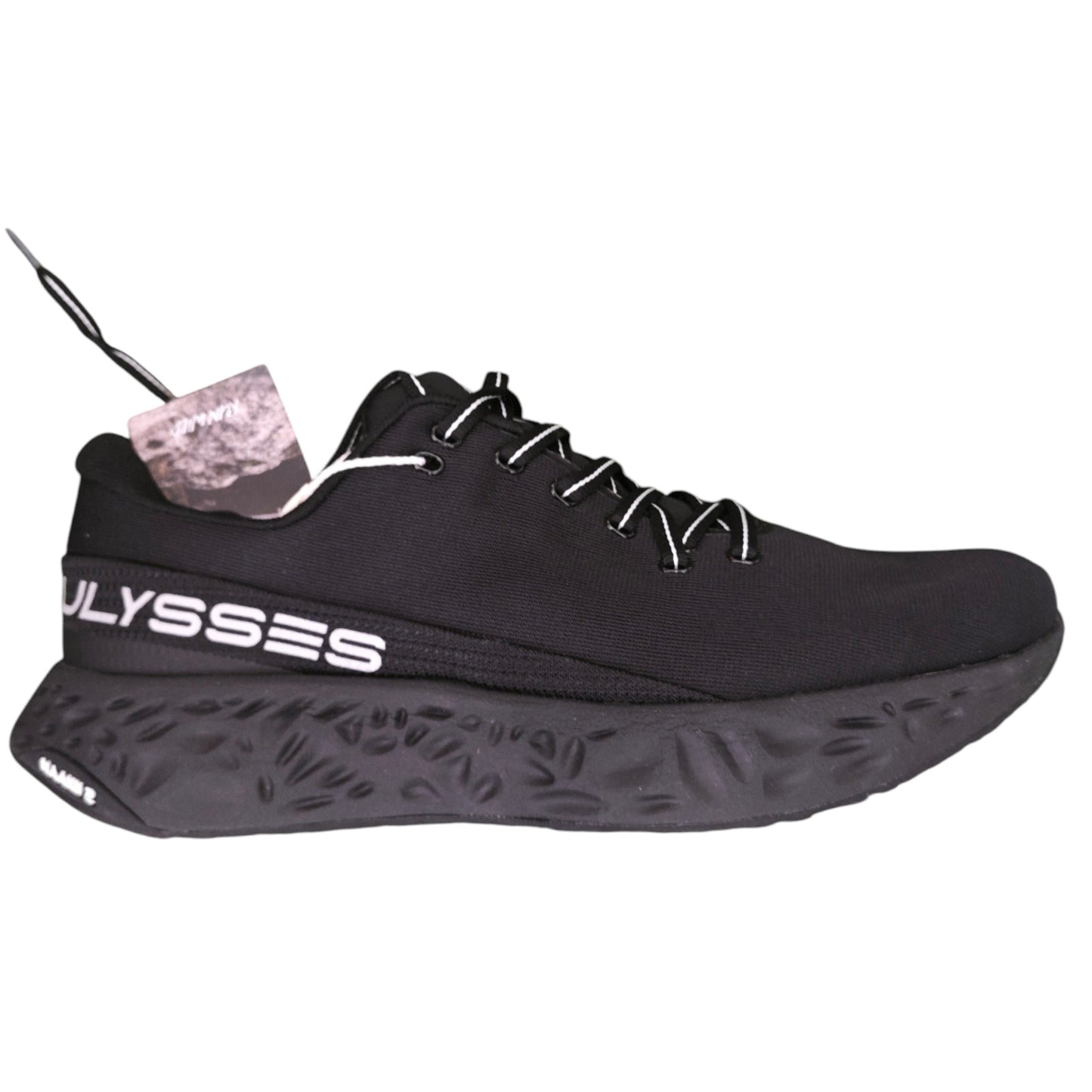 Ulysses NAAKII.2