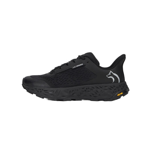 Ulysses AHULI.2