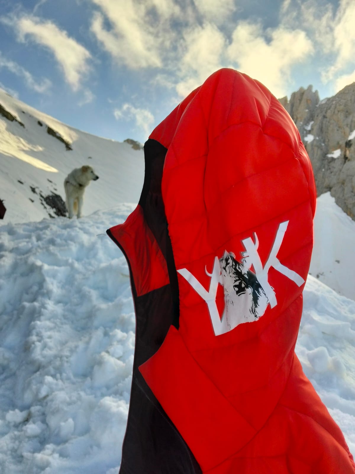 YAK Mer De Glace down W