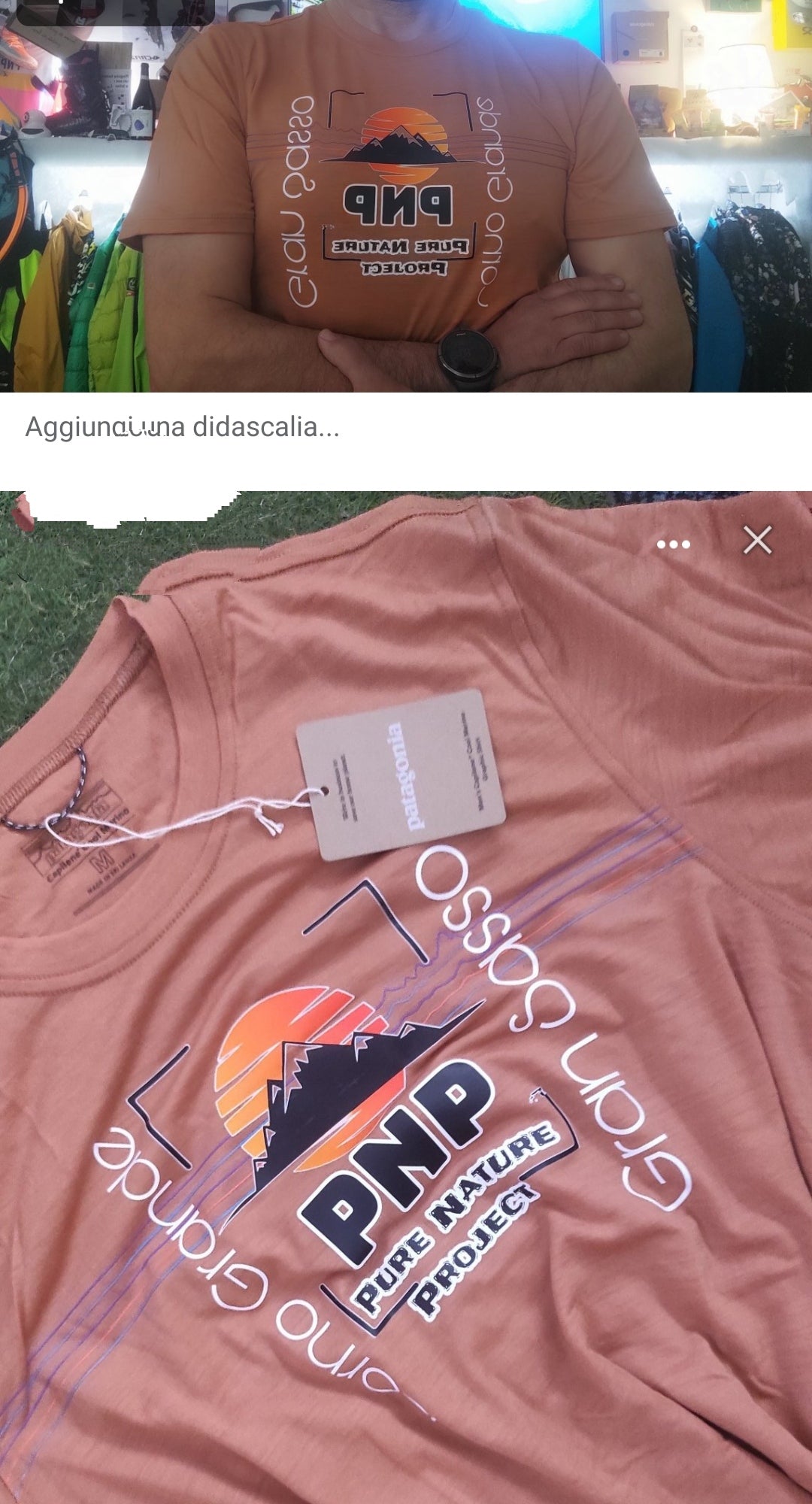 Patagonia grafic shirt merino e capilene